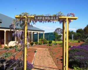 Lavendale Farmstay and Cottages - Carnarvon Accommodation