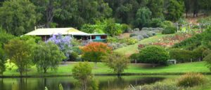 Pemberton Lavender and Berry Farm Cafe and Cottages - Carnarvon Accommodation